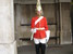 TONY -  -  - photo image