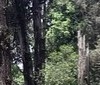 Active, adventure & nature - Ethiopia Addis Ababa - Tour - photo image
