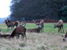 Art, culture, traditions, sightseeing - United Kingdom Kingston upon Thames - Tour - photo image