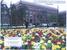 Art, culture, traditions, sightseeing - United Kingdom Leeds - Tour - photo image