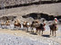 Active, adventure & nature - Nepal Kathmandu - Tour - photo image
