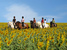 Art, culture, traditions, sightseeing - Spain Seville - Tour - photo image
