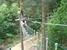 Art, culture, traditions, sightseeing - United Kingdom Cheshire - Tour - photo image