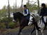 Art, culture, traditions, sightseeing - United Kingdom Cheshire - Tour - photo image