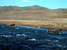 Active, adventure & nature - Mongolia Hatgal - Tour - photo image
