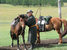 Active, adventure & nature - Mongolia Hatgal - Tour - photo image