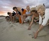 Active, adventure & nature - Mexico Acapulco - Tour - photo image