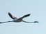 Art, culture, traditions, sightseeing - South Africa Kapstadt - Tour - photo image